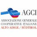 AGCI ALTO ADIGE - Conseguimento certificazione ISO VISION 9001:2008